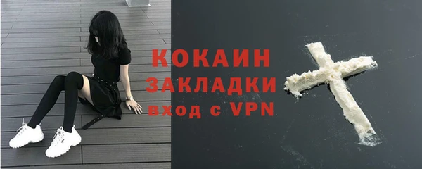 крисы Мегион