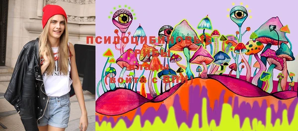 скорость Михайловск