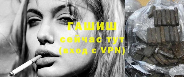 крисы Мегион