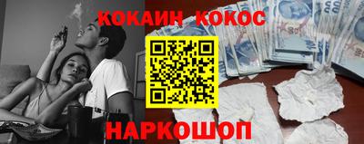 соль ск Камышлов
