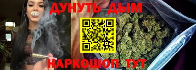 крисы Абакан