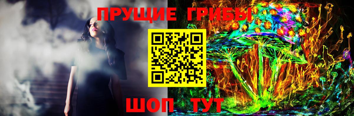 Галлюциногенные грибы Psilocybine cubensis Михайловск