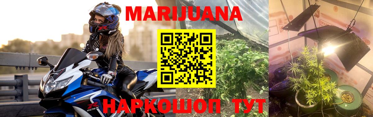 МАРИХУАНА SATIVA & INDICA  Каннабис семена  Бошки марихуана конопля  Михайловск 